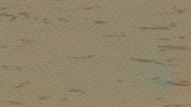 Benzersiz dijital hareket grafiklerine sahip yaratıcı sinematik projeler için yumuşak animasyon yüzeyi