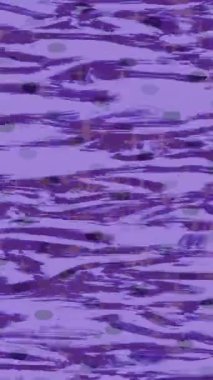 Dijital doku yüzey tasarım biçimi ile modern video animasyonu için gelişmiş hareket grafikleri