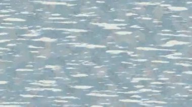 Soyut hareket desenli fütüristik video üretimi için dinamik dijital arkaplan