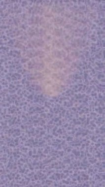 Soyut hareket desenli fütüristik video üretimi için dinamik dijital arkaplan