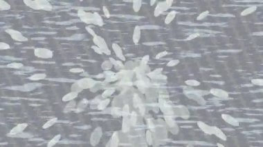 Benzersiz video giriş tasarımı projeleri için detaylı yüzey kalıbı film animasyon stili grafik girişi