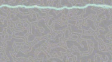 Benzersiz hareket grafikleri tasarım sanatına sahip yaratıcı film üretimi için özet bir arkaplan