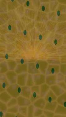 Benzersiz dijital hareket grafiklerine sahip yaratıcı sinematik projeler için yumuşak animasyon yüzeyi