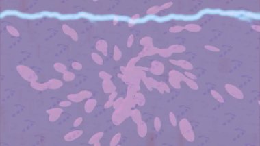 Dijital doku yüzey tasarım biçimi ile modern video animasyonu için gelişmiş hareket grafikleri