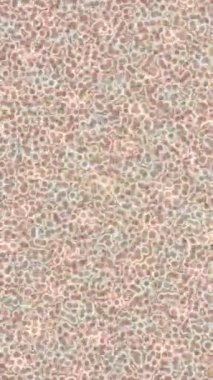 Yaratıcı video düzenleme film tasarımı için benzersiz hareket grafikleri biçimi giriş hareketi video pro