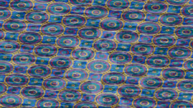 Yaratıcı video düzenleme film arkaplan tasarımı için minimalist organik hareket grafikleri