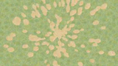 Benzersiz hareket grafikleri tasarım sanatına sahip yaratıcı film üretimi için özet bir arkaplan