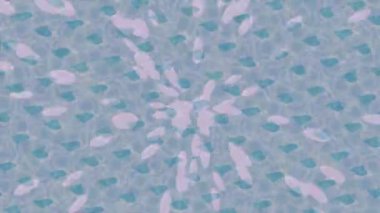 Benzersiz video giriş tasarımı projeleri için detaylı yüzey kalıbı film animasyon stili grafik girişi