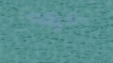 Lüks hareket tasarımı üst düzey video projeleri ve dijital sanat için zarif, pürüzsüz bir dokusu var.