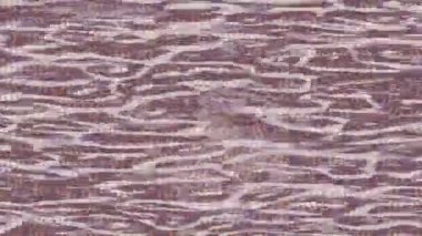 Benzersiz hareket dokusu tasarım sanatı ile profesyonel video düzenleme için modern soyut grafikler