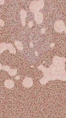 Benzersiz dijital animasyon tarzı grafikleri olan yaratıcı ortam tasarımı için yenilikçi hareket dokusu