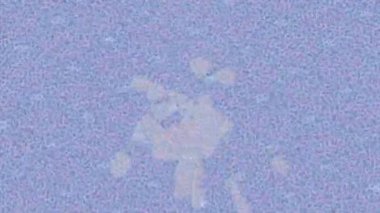 Organik desenli yüzey giriş stili video film sanatı ile soyut arkaplan tasarımı