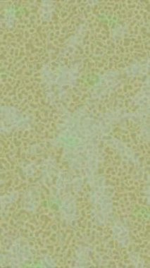 Modern medya üretimi için fütüristik dijital soyut doku sinematik tarz hareketli grafik ögesi