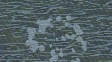 Benzersiz dijital hareket grafiklerine sahip yaratıcı sinematik projeler için yumuşak animasyon yüzeyi