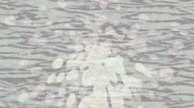 Yaratıcı video düzenleme film arkaplan tasarımı için minimalist organik hareket grafikleri