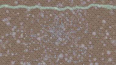 Yaratıcı video düzenleme film tasarımı için benzersiz hareket grafikleri biçimi giriş hareketi video pro