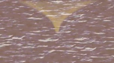 Benzersiz hareket dokusu tasarım sanatı ile profesyonel video düzenleme için modern soyut grafikler