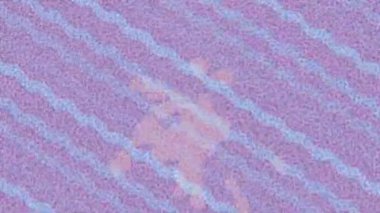 Modern medya üretimi için fütüristik dijital soyut doku sinematik tarz hareketli grafik ögesi