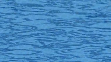 Benzersiz dijital hareket grafiklerine sahip yaratıcı sinematik projeler için yumuşak animasyon yüzeyi