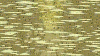 Dijital doku yüzey tasarım biçimi ile modern video animasyonu için gelişmiş hareket grafikleri