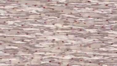 Profesyonel video projeleri sanat tarzı için organik hareketli arkaplan tasarımı