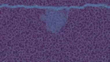 Benzersiz hareket dokusu tasarım sanatı ile profesyonel video düzenleme için modern soyut grafikler