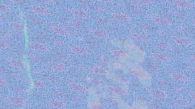 Benzersiz video giriş tasarımı projeleri için detaylı yüzey kalıbı film animasyon stili grafik girişi