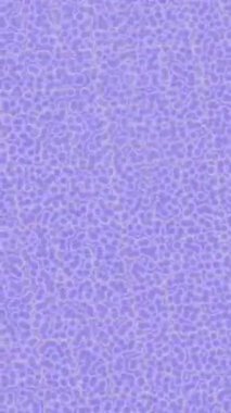 Dijital doku yüzey tasarım biçimi ile modern video animasyonu için gelişmiş hareket grafikleri