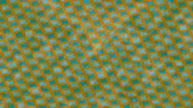 Yaratıcı video düzenleme film tasarımı için benzersiz hareket grafikleri biçimi giriş hareketi video pro