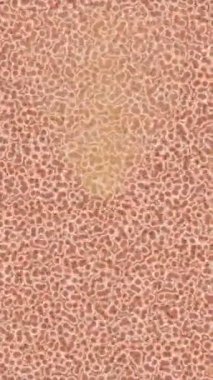 Organik desenli yüzey giriş stili video film sanatı ile soyut arkaplan tasarımı