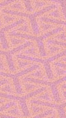 Lüks hareket tasarımı üst düzey video projeleri ve dijital sanat için zarif, pürüzsüz bir dokusu var.