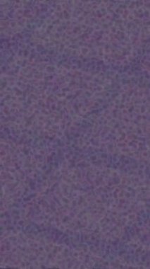 Benzersiz hareket dokusu tasarım sanatı ile profesyonel video düzenleme için modern soyut grafikler