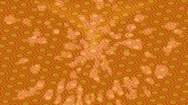 Organik desenli yüzey giriş stili video film sanatı ile soyut arkaplan tasarımı