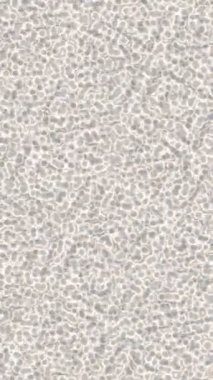 Lüks hareket projeleri için soyut tasarım stili animasyonu olan üst düzey dijital doku