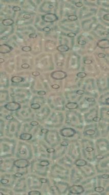 Benzersiz dijital hareket grafiklerine sahip yaratıcı sinematik projeler için yumuşak animasyon yüzeyi