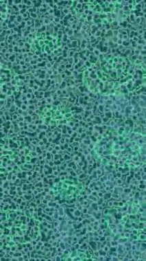 Dijital doku yüzey tasarım biçimi ile modern video animasyonu için gelişmiş hareket grafikleri