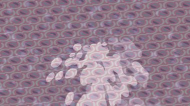 Lüks hareket tasarımı üst düzey video projeleri ve dijital sanat için zarif, pürüzsüz bir dokusu var.