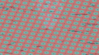 Profesyonel video projeleri sanat tarzı için organik hareketli arkaplan tasarımı