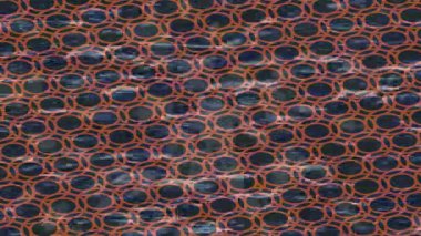 Benzersiz hareket grafikleri tasarım sanatına sahip yaratıcı film üretimi için özet bir arkaplan