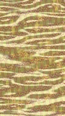 Yaratıcı video düzenleme film arkaplan tasarımı için minimalist organik hareket grafikleri