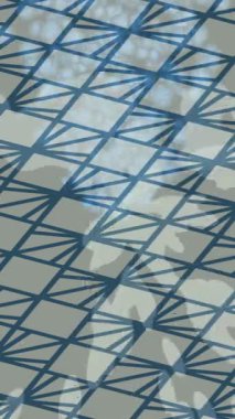 Benzersiz dijital hareket grafiklerine sahip yaratıcı sinematik projeler için yumuşak animasyon yüzeyi