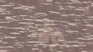 Lüks hareket projeleri için soyut tasarım stili animasyonu olan üst düzey dijital doku