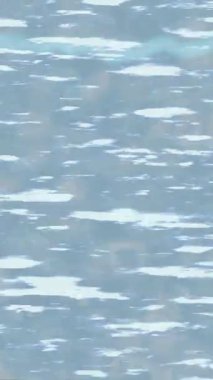 Dijital doku yüzey tasarım biçimi ile modern video animasyonu için gelişmiş hareket grafikleri