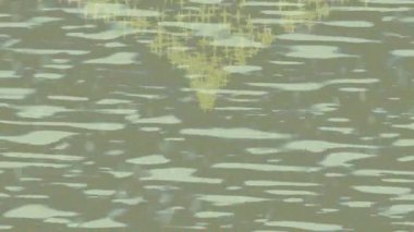 Organik desenli yüzey giriş stili video film sanatı ile soyut arkaplan tasarımı