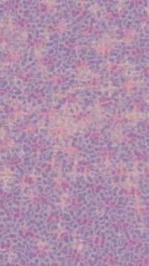 Lüks hareket tasarımı üst düzey video projeleri ve dijital sanat için zarif, pürüzsüz bir dokusu var.