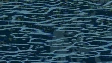 Yaratıcı video düzenleme film arkaplan tasarımı için minimalist organik hareket grafikleri