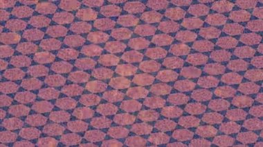 Benzersiz video giriş tasarımı projeleri için detaylı yüzey kalıbı film animasyon stili grafik girişi