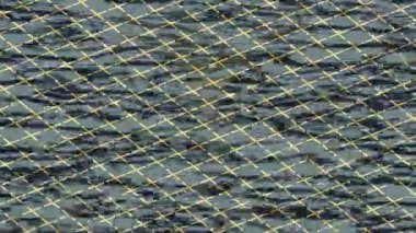 Lüks hareket tasarımı üst düzey video projeleri ve dijital sanat için zarif, pürüzsüz bir dokusu var.