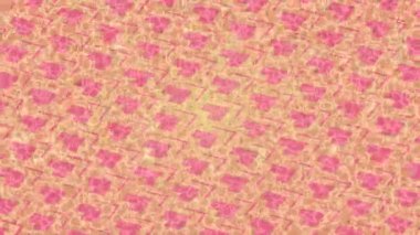 Yaratıcı video düzenleme film arkaplan tasarımı için minimalist organik hareket grafikleri