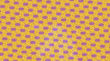 Dijital doku yüzey tasarım biçimi ile modern video animasyonu için gelişmiş hareket grafikleri